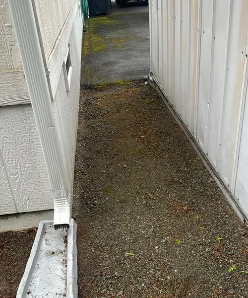 Landscaping Maintenance in Ballard 